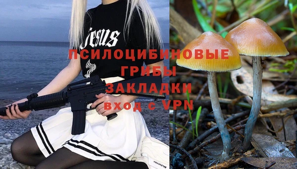 бутират Весьегонск