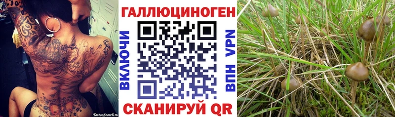 Псилоцибиновые грибы MAGIC MUSHROOMS Холмск