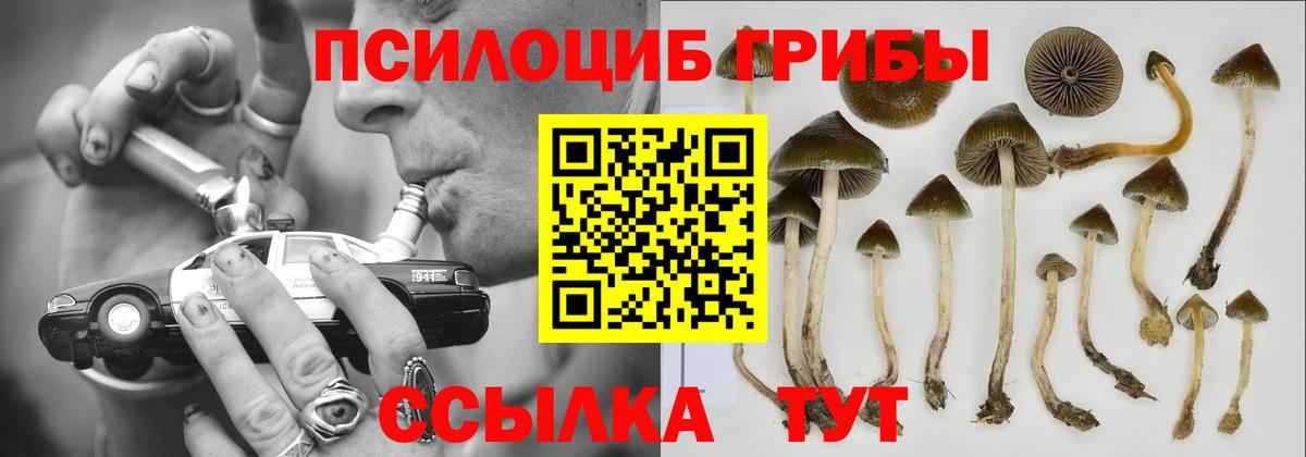 Галлюциногенные грибы MAGIC MUSHROOMS Холмск